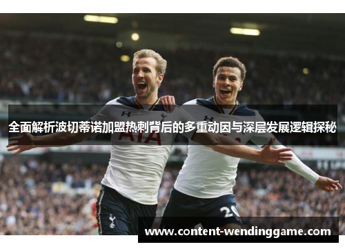 全面解析波切蒂诺加盟热刺背后的多重动因与深层发展逻辑探秘