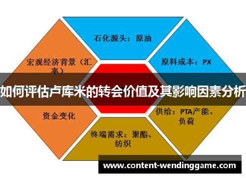 如何评估卢库米的转会价值及其影响因素分析