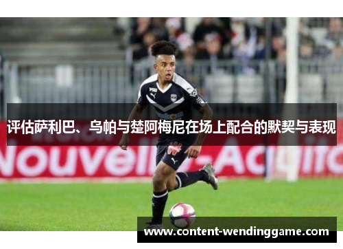 评估萨利巴、乌帕与楚阿梅尼在场上配合的默契与表现